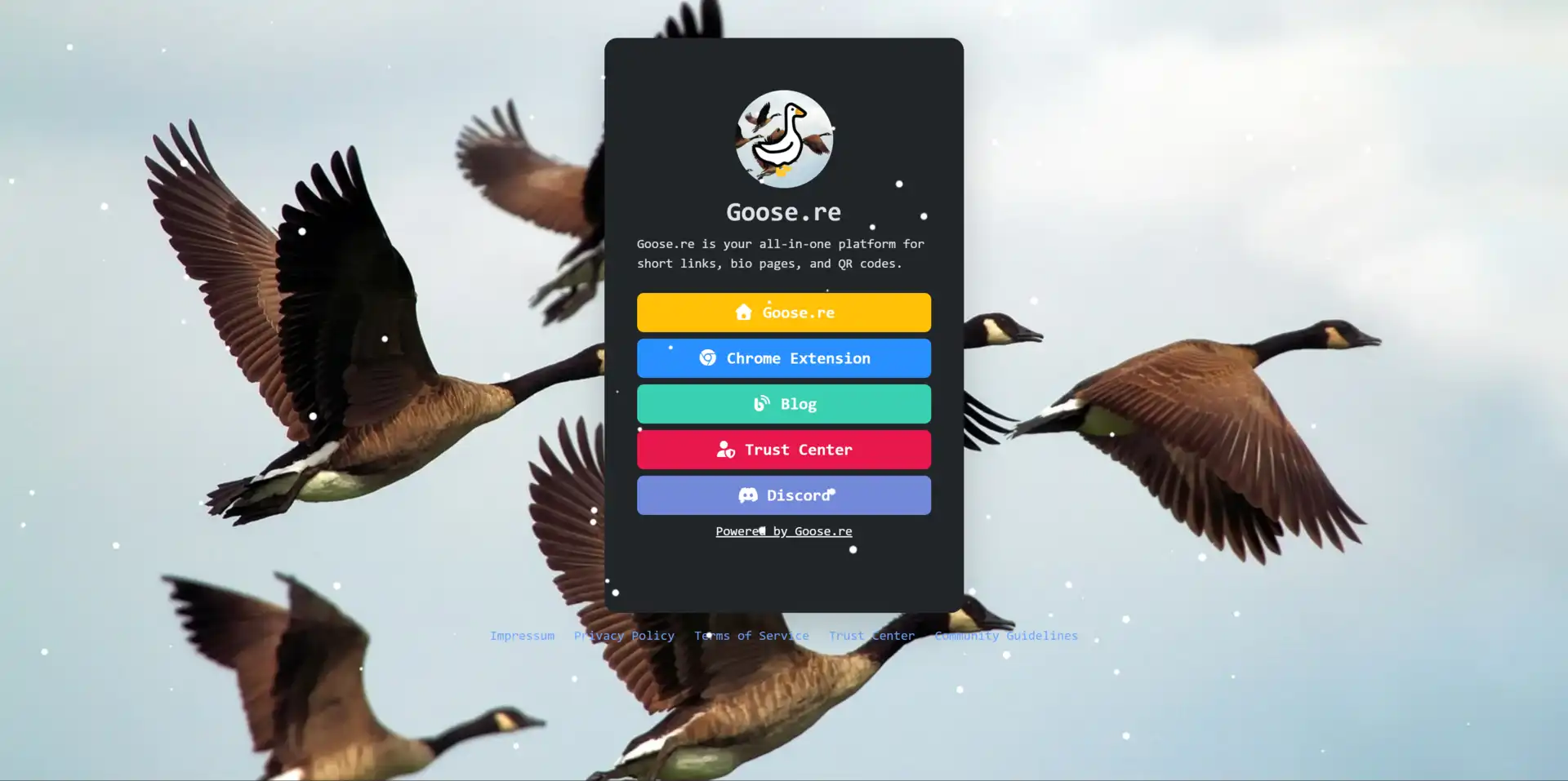 Better Leads with Goose.re Pages